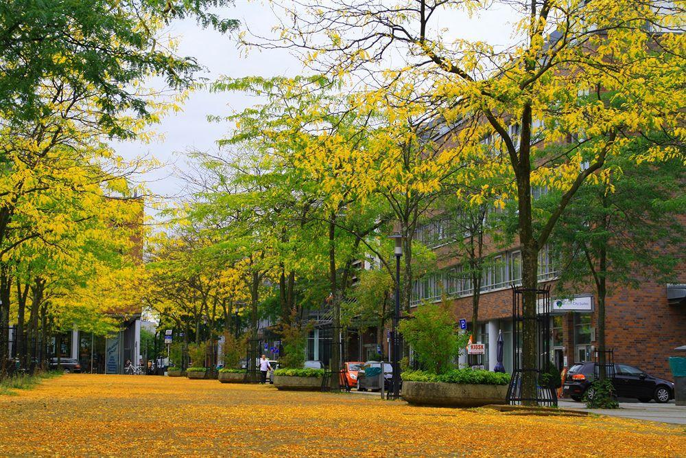 Essen City Suites Екстер'єр фото